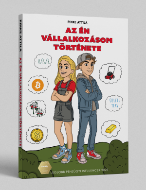 Vállalkozásom története